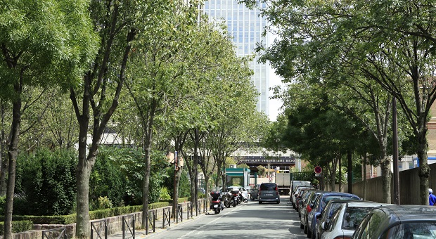 La COREVIH recrute un(e) Assistant(e) Administratif(ve)