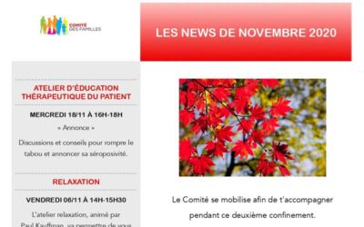 Les activités du Comité des Familles – novembre 2020