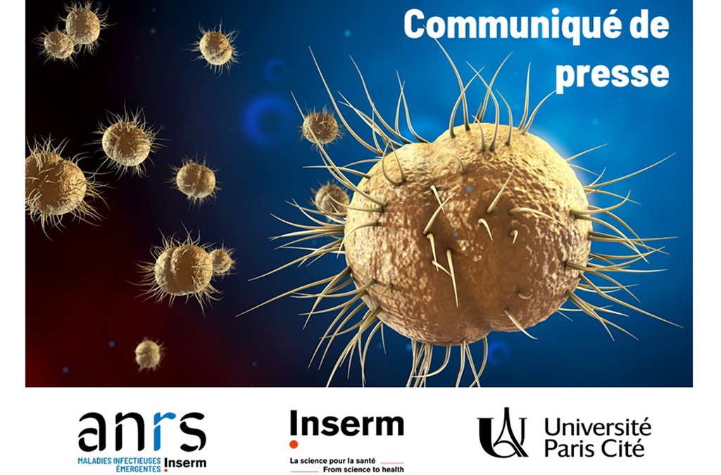 [Communiqué de Presse] Résultats finaux de l&rsquo;essai ANRS DOXYVAC sur la prévention des IST