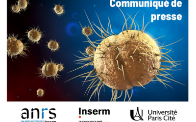 [Communiqué de Presse] Résultats finaux de l&rsquo;essai ANRS DOXYVAC sur la prévention des IST