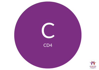 CD4