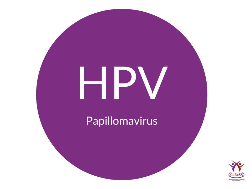 Définition Papillomavirus - Définition HPV